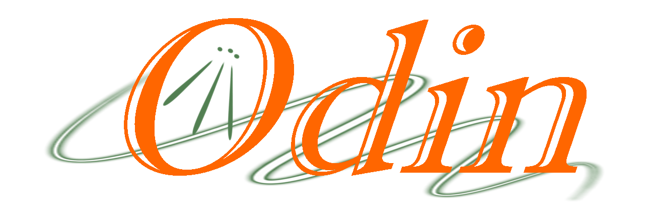 Logotipo Suministros Odin a color