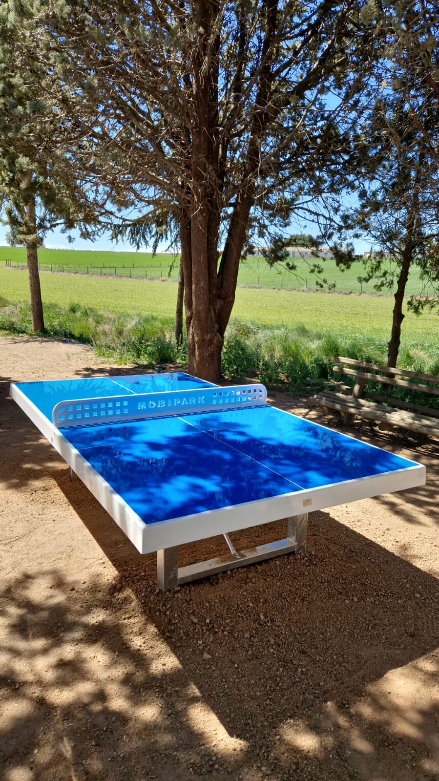 MESA PING PONG, BANCOS Y MESA PICNIC VALSECA (1) MESA PING PONG BANCOS Y MESA PICNIC VALSECA 1